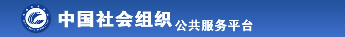 亚洲男人大吊插女人骚逼全国社会组织信息查询